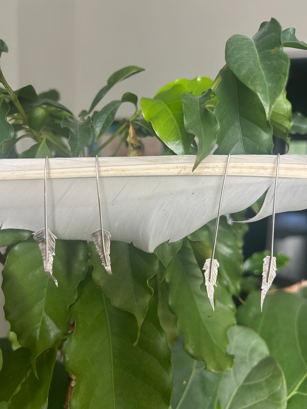 Feather Earrings