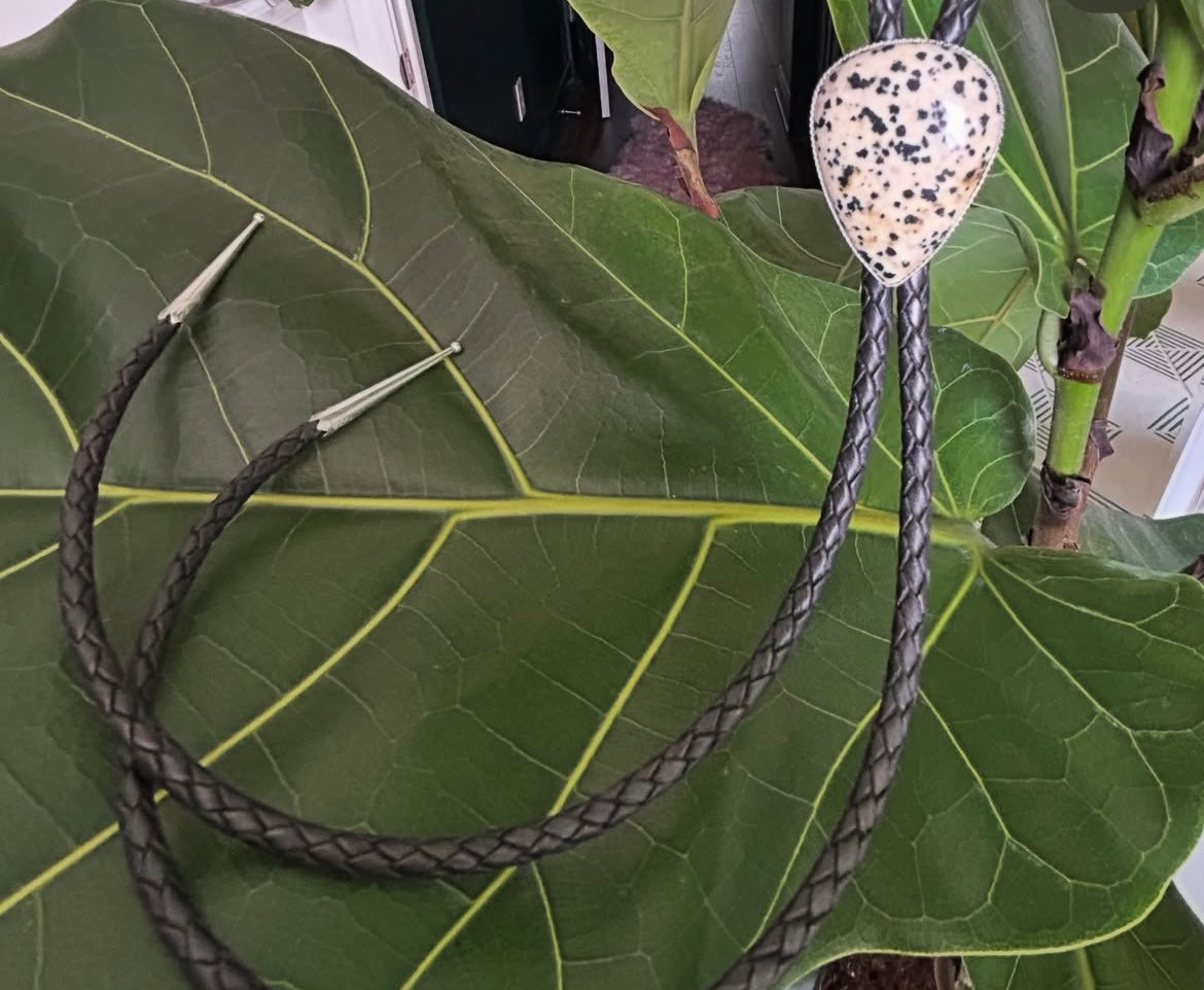Dalmatian Jasper Bolo