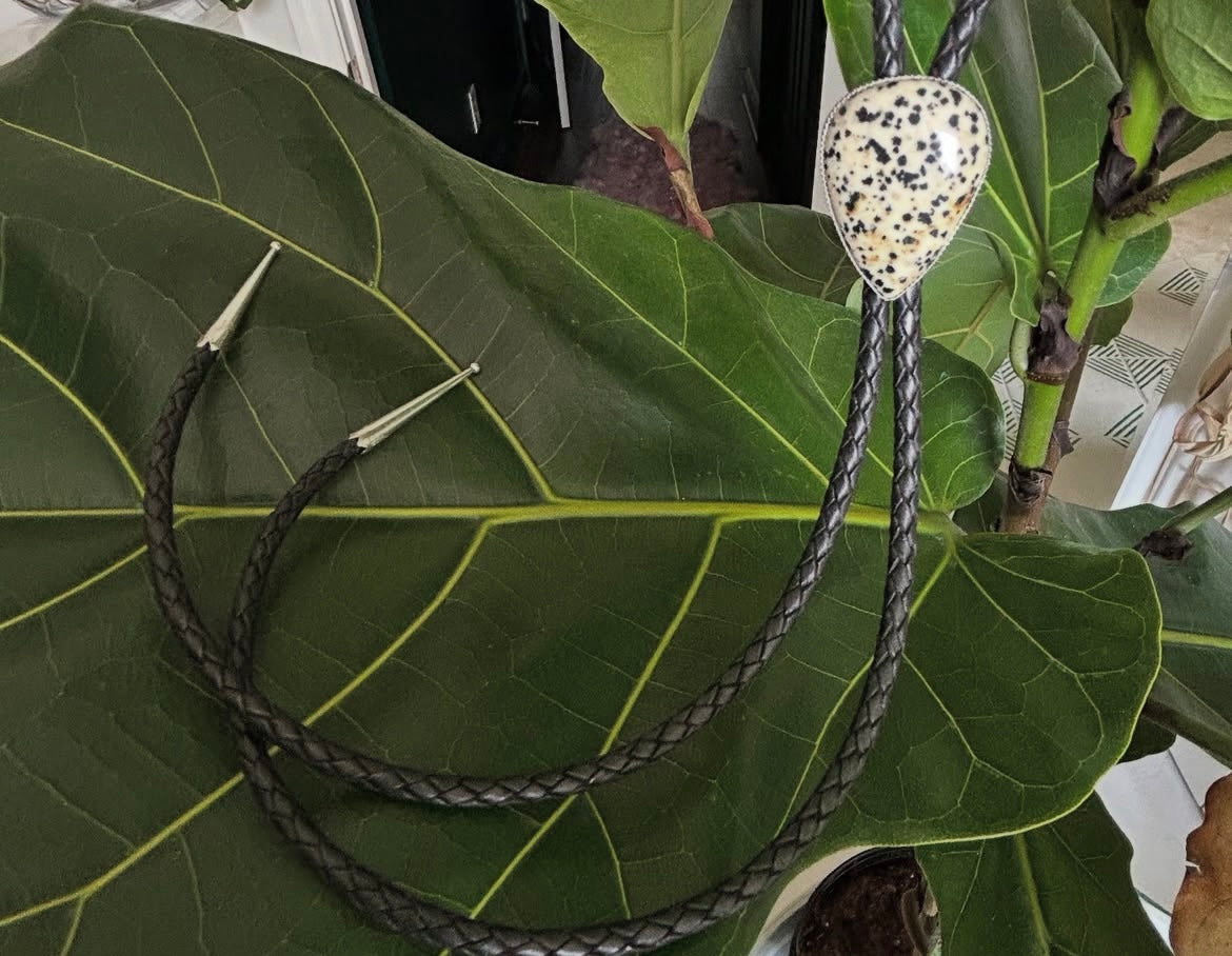 Dalmatian Jasper Bolo